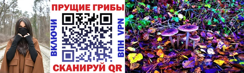 Псилоцибиновые грибы прущие грибы  наркота  Бирск 